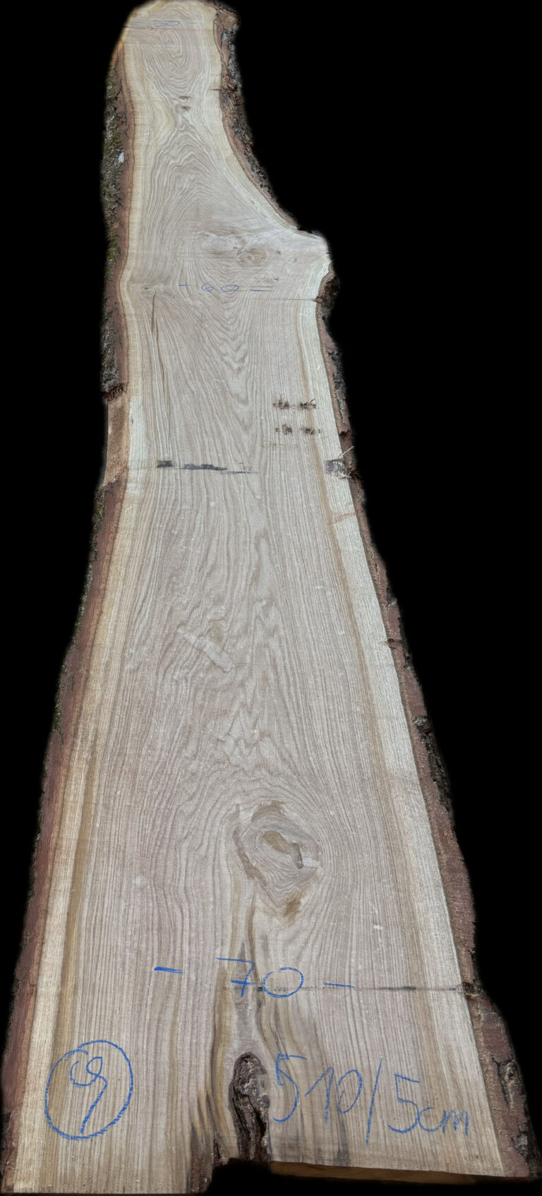 Baumstammplatte Eiche